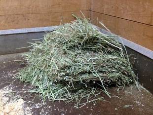 飼育員のお仕事