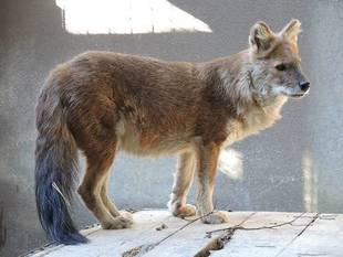 めざせ、みんなのアイドール!~TAKE6~