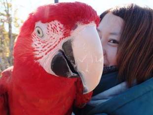 ハッピー ニュー イヤー