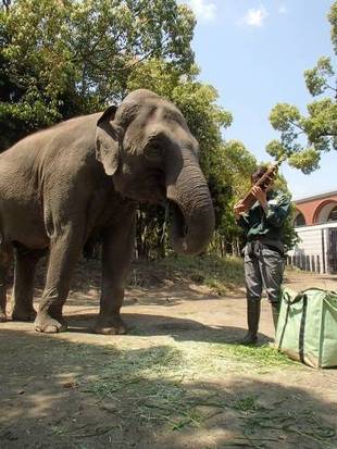 旬のものいただきました♪