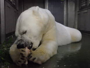 3つ目は...？？？