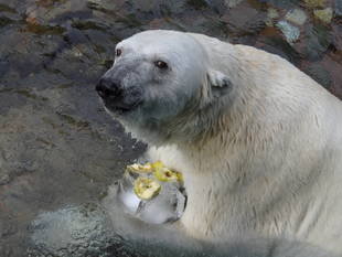 しばらくお休みさせていただきます...