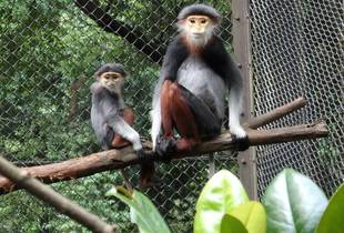 今日はわたしの誕生日！