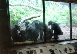 早く！早く！！