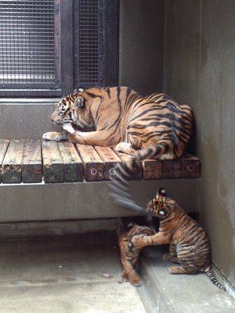 ある雨の日の写真