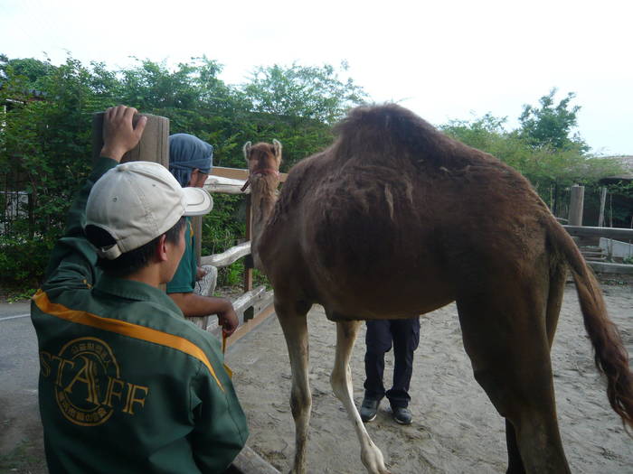 【飼育日誌】20160727 新人は頑張り屋さん　③