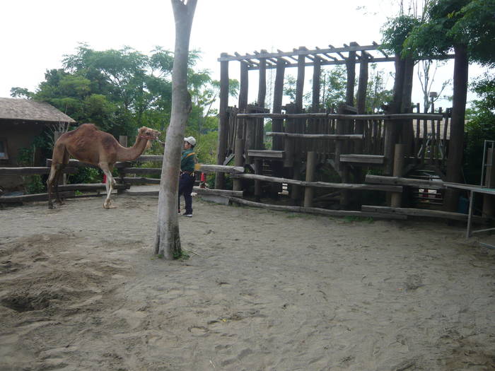 【飼育日誌】20160727 新人は頑張り屋さん　②