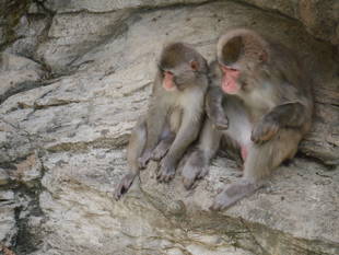 ごはんを食べるために頑張ります！