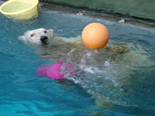 効果に期待です！！