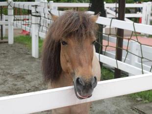 しんすけ君の友達？天敵？