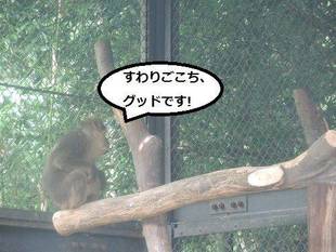 ちべっと、リニューアル！