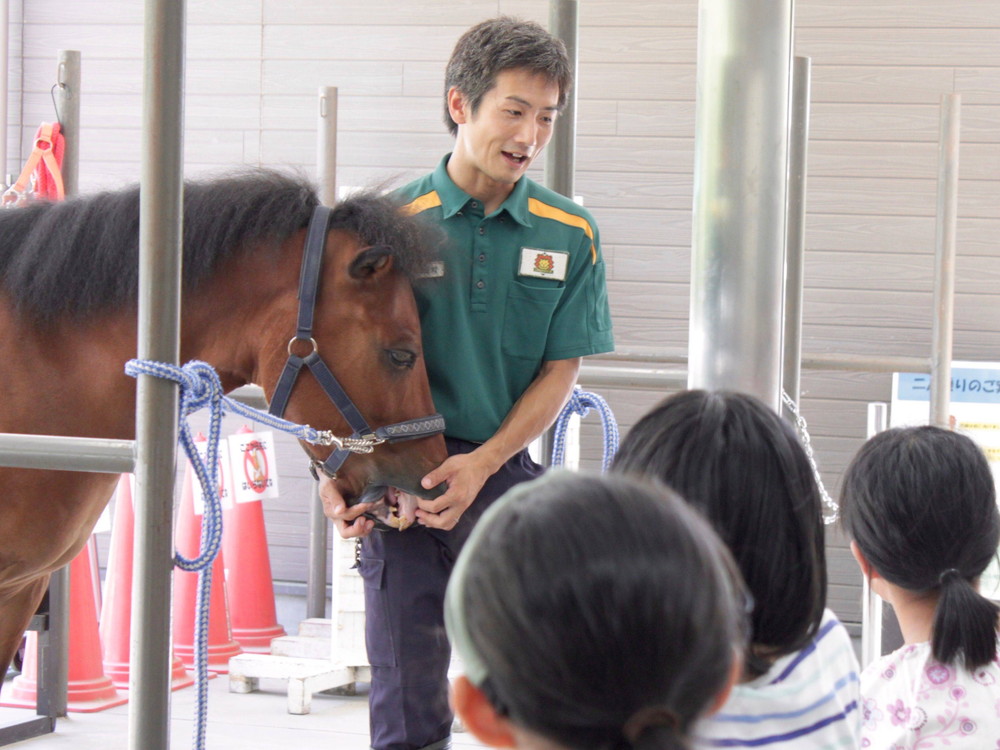 馬の飼育係になってみよう!の写真