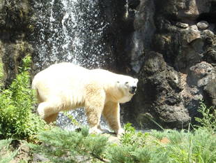 ツヨシによる最終確認!!