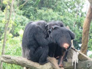 なになにな～に？