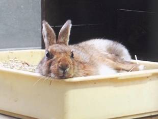 ハッピーバースディ、セリちゃん。