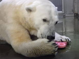 工事ラストスパート！