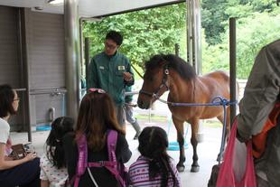 日曜日の春太くん