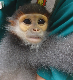 今日は誰の誕生日？