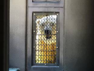 ジャンブイによる最終確認!!