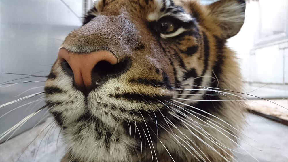 お宝写真-1の写真