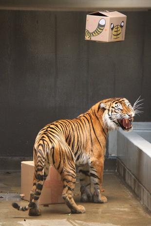 カリのお祝いも・・・