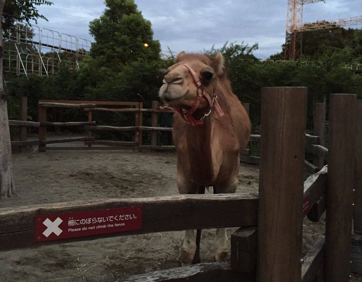 初ナイトお疲れ様!の写真
