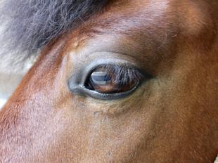 フサフサまつげに無精髭！？