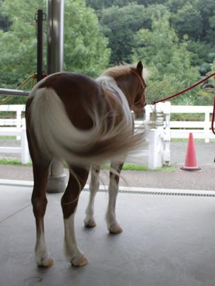 あっち行って！！