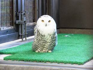 理想と現実...。  == ひと夏の出来事2 ==