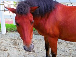 とある少年の言葉