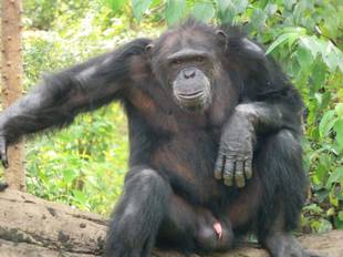 たまにはのんびり・・・