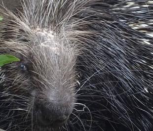 雨の日は・・・