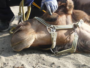 デビュー1周年!!