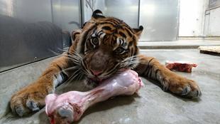 ミンピは横着もの？？