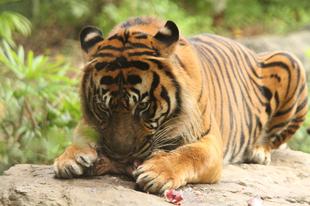 ガンターのつれない反応(・・;)