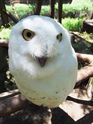 理想と現実...。  == ひと夏の出来事3 ==