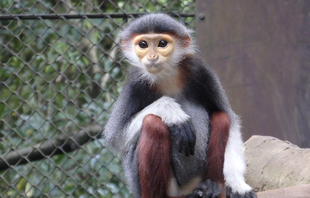 スペシャル プレゼント!!!