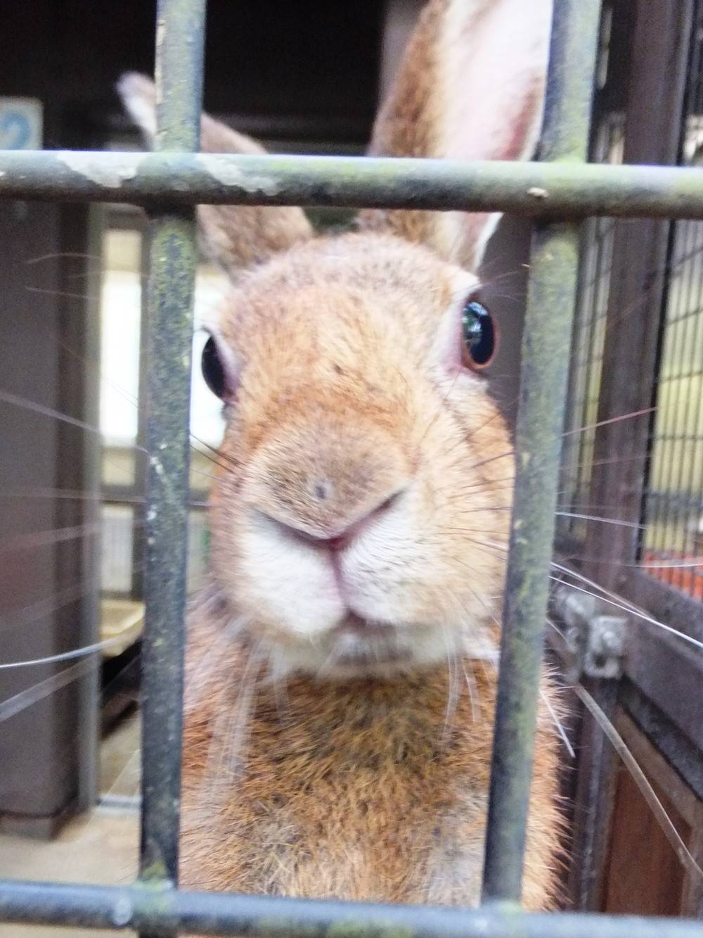 恋をしちゃいました♡の写真