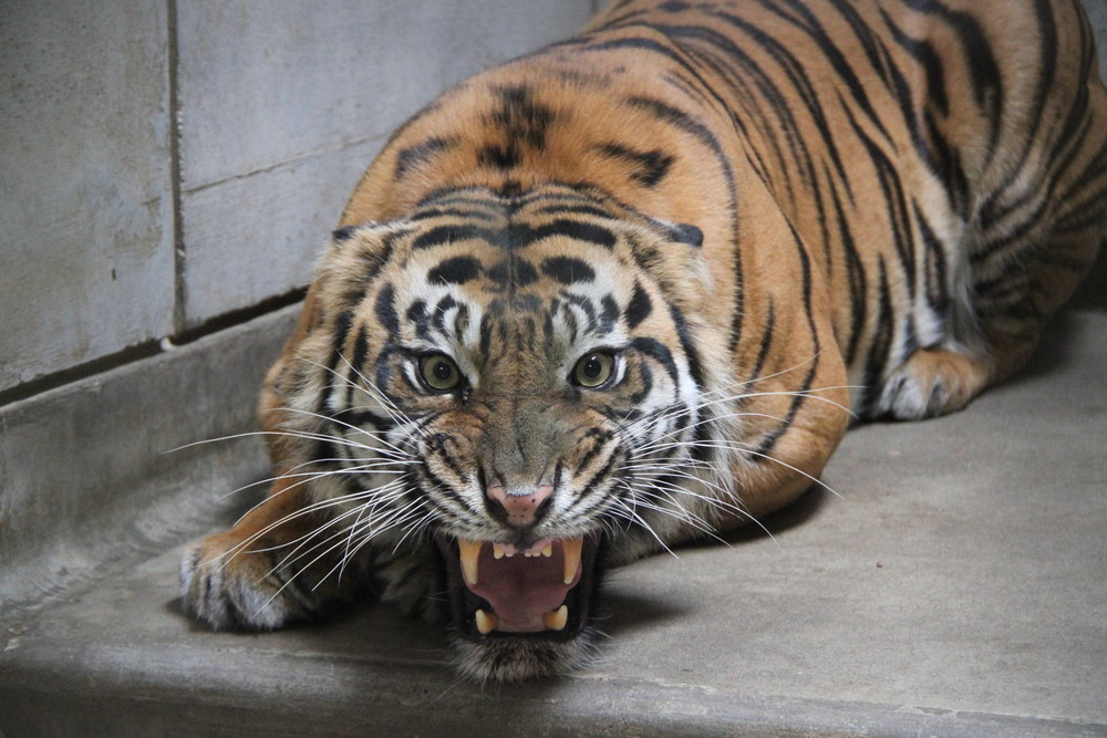 あれあれっ!?の写真