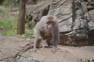 お菓子をくれても、いたずらしちゃうぞ！？