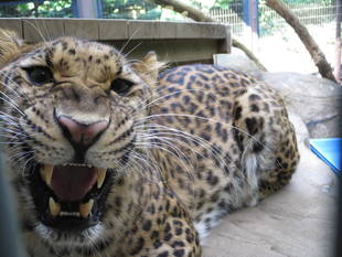 お久しぶりです。ダッシュです。