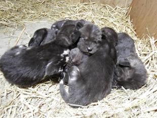 シーちゃん、やりました!!!