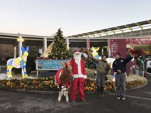 クリスマス点灯式！