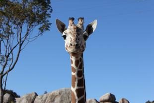 12月誕生日なのは...！？