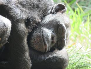 お気に入りの場所