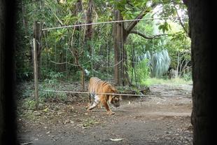 明るくなったかな？？