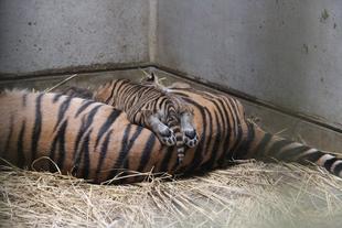 子育て情報-8（キュン死注意！？）