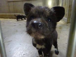 すくすく育ってます!!!!!!