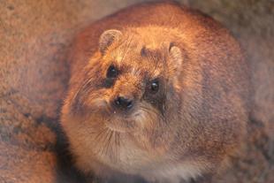 冬を元気に乗り越えよう！