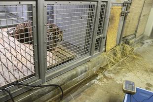 体重測定しました